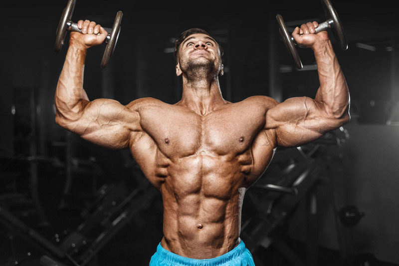 Bodybuilding Supplements for Gym Beginners and SARMS
