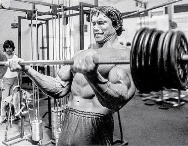 barbell curls