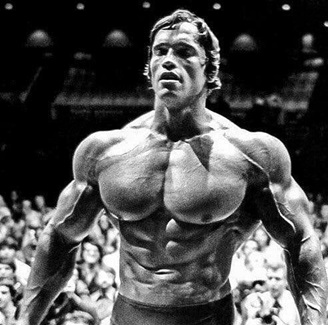bodybuilding
