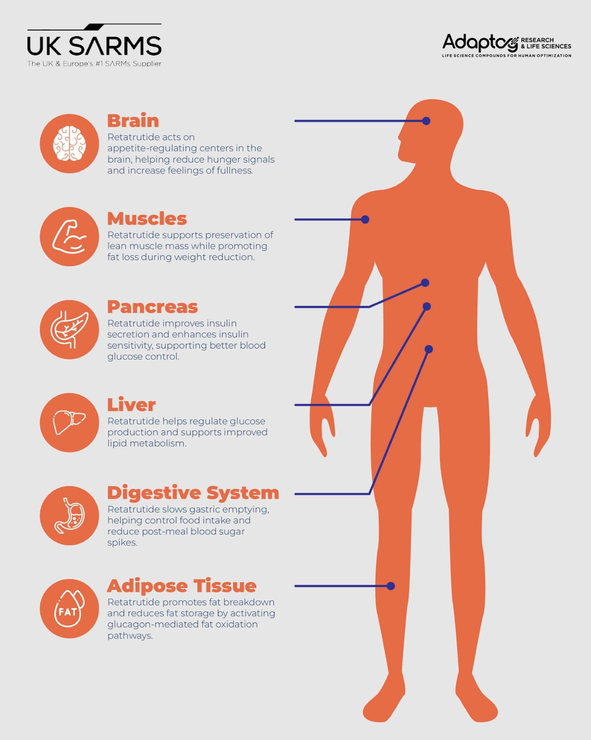 retatrutide effects infographic