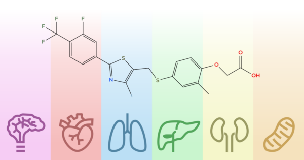 GW0742 acts on multiple organs to exert benefits