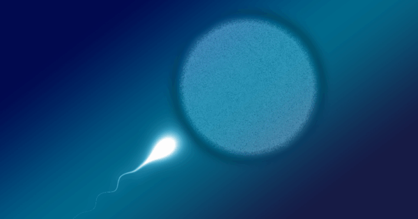 HCG can be used to improve fertility in both men and women